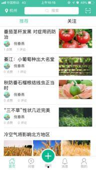 今日头条大蒜农爆料,丰收却难卖,蒜农心声引关注 第3张 今日头条大蒜农爆料,丰收却难卖,蒜农心声引关注 第3张